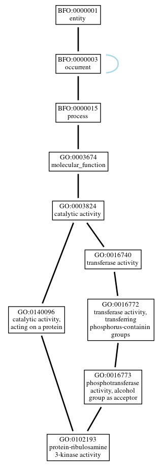 Graph of GO:0102193