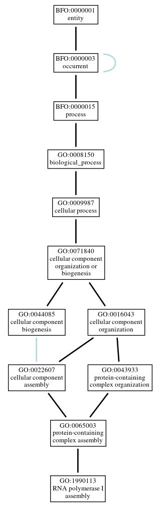 Graph of GO:1990113