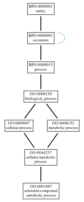 Graph of GO:0001887