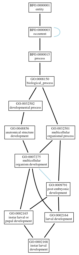 Graph of GO:0002168