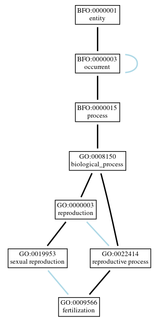 Graph of GO:0009566