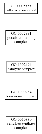 Graph of GO:0010330