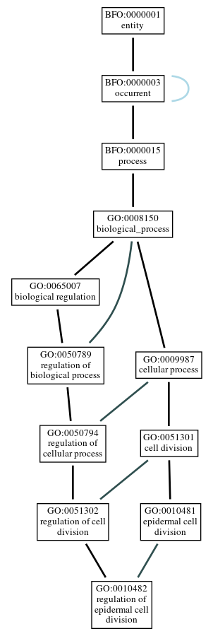Graph of GO:0010482