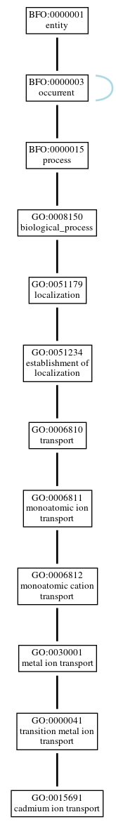 Graph of GO:0015691