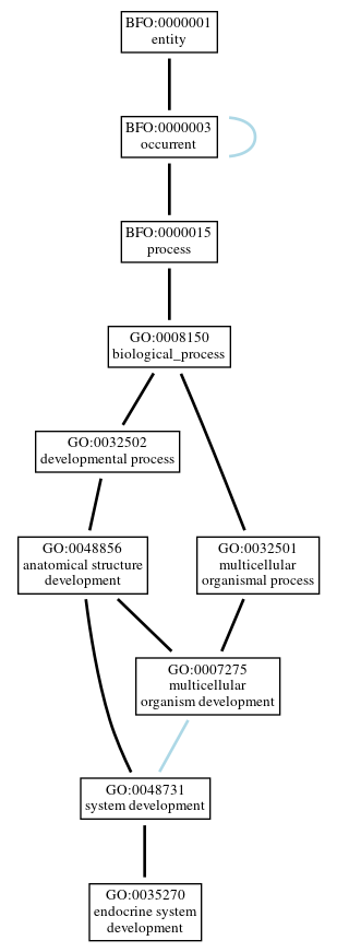 Graph of GO:0035270