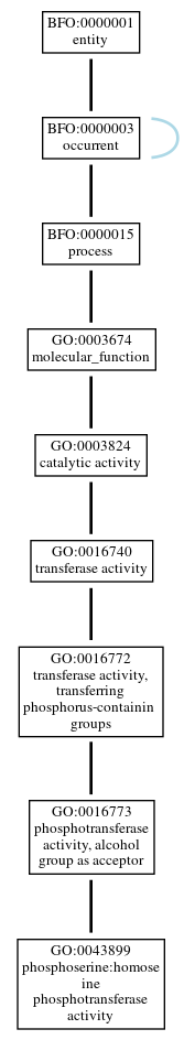 Graph of GO:0043899