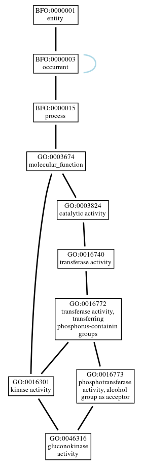 Graph of GO:0046316