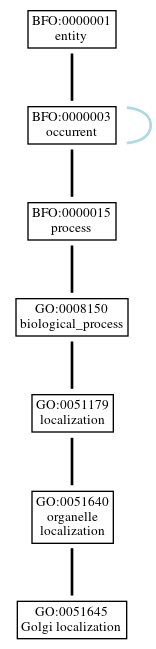 Graph of GO:0051645