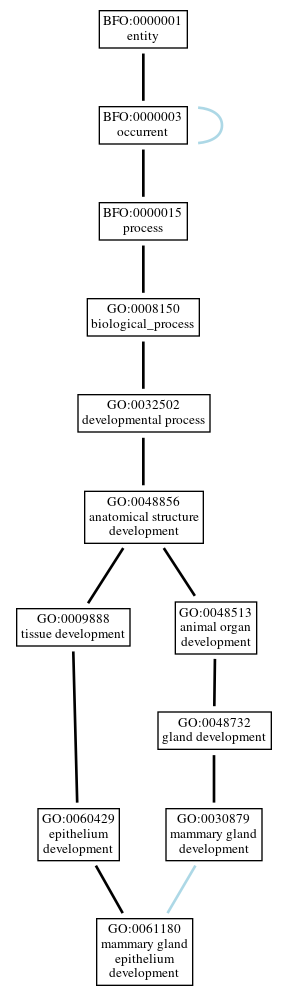 Graph of GO:0061180