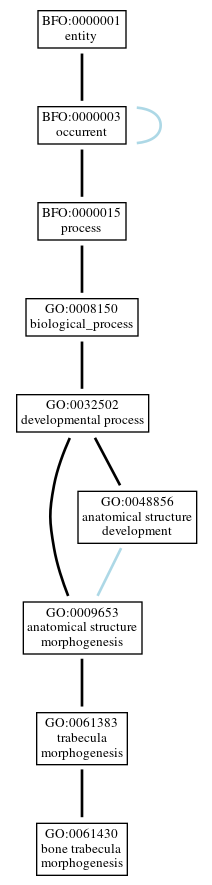 Graph of GO:0061430
