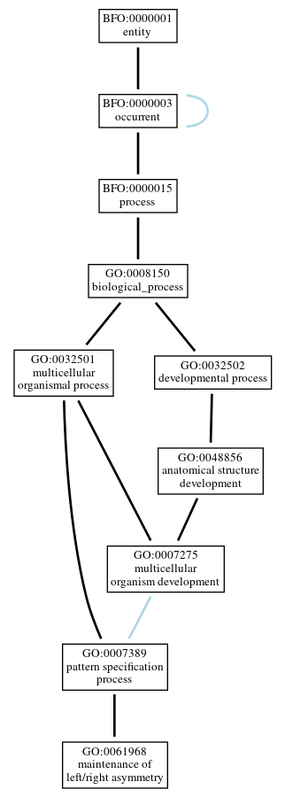 Graph of GO:0061968