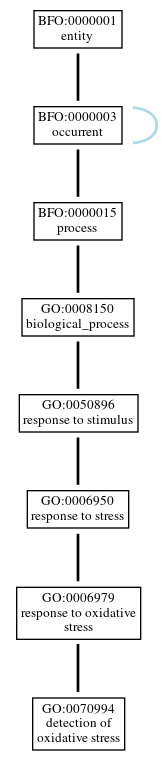 Graph of GO:0070994