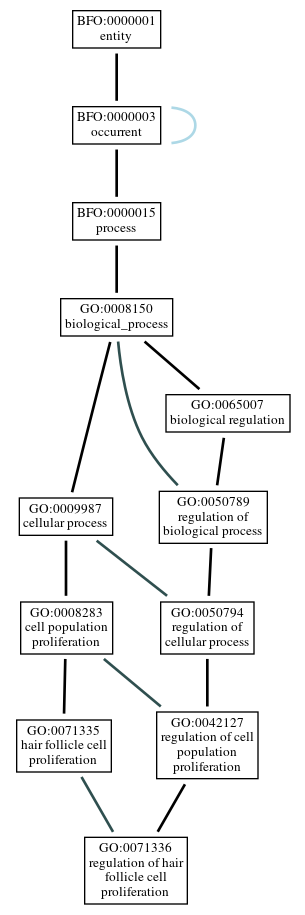 Graph of GO:0071336