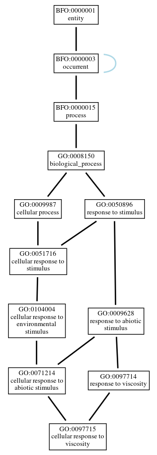Graph of GO:0097715