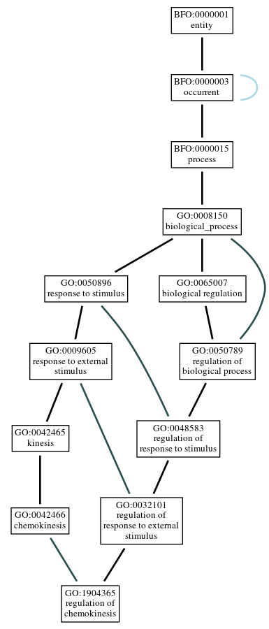 Graph of GO:1904365