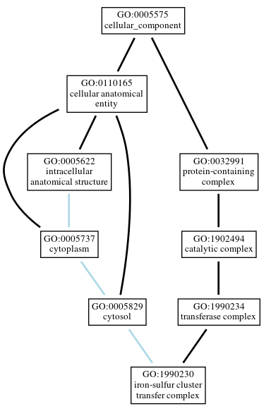 Graph of GO:1990230