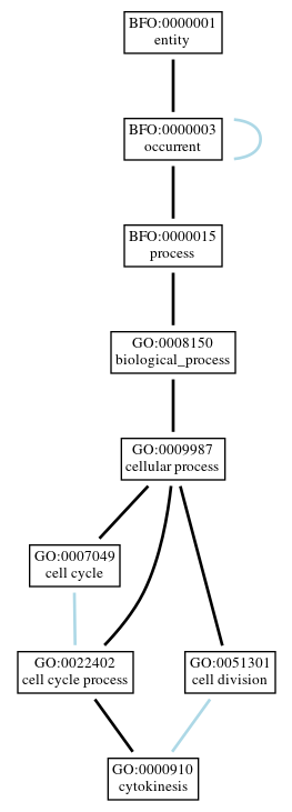 Graph of GO:0000910