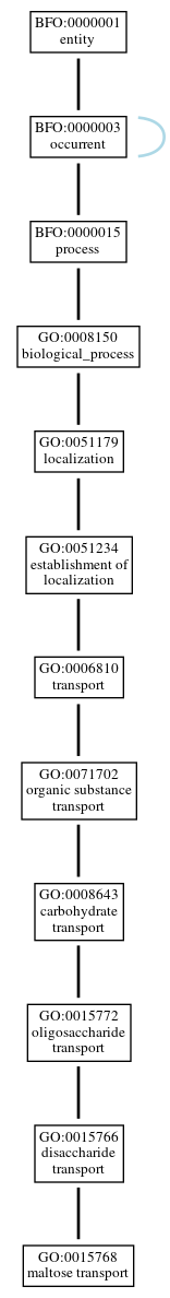 Graph of GO:0015768