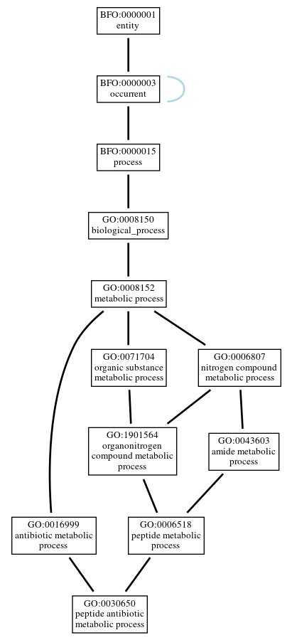Graph of GO:0030650