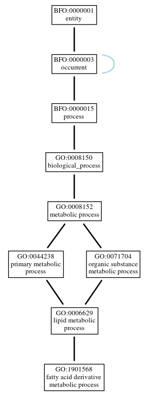 Graph of GO:1901568