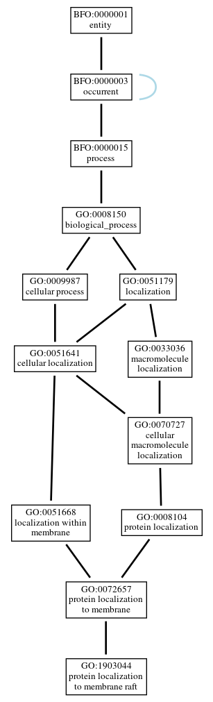 Graph of GO:1903044