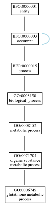 Graph of GO:0006749