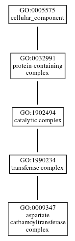 Graph of GO:0009347