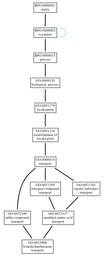 Graph of GO:0015806