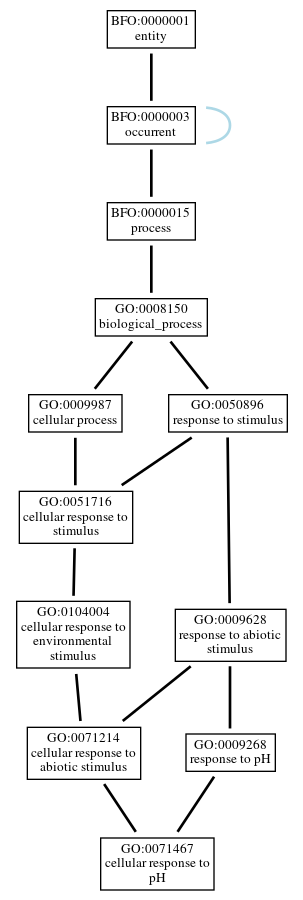 Graph of GO:0071467