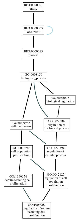 Graph of GO:1904002