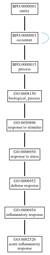 Graph of GO:0002526