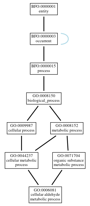 Graph of GO:0006081