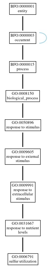 Graph of GO:0006791