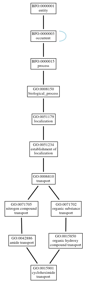 Graph of GO:0015901