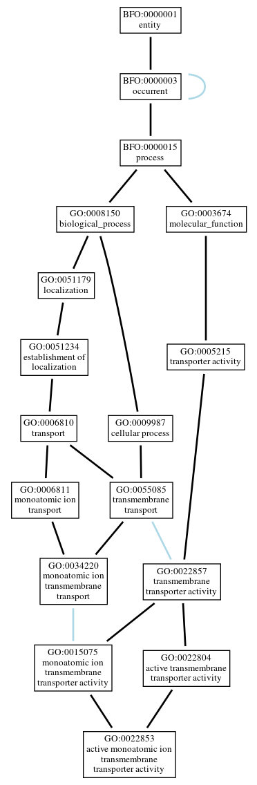 Graph of GO:0022853