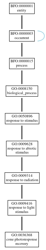 Graph of GO:0036368