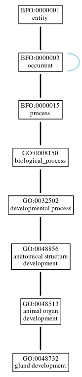 Graph of GO:0048732
