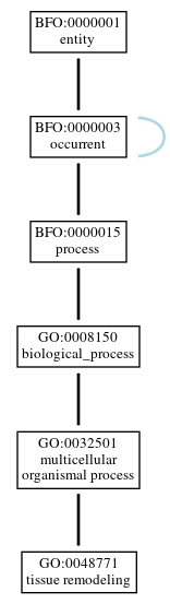 Graph of GO:0048771