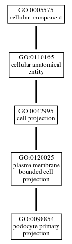 Graph of GO:0098854