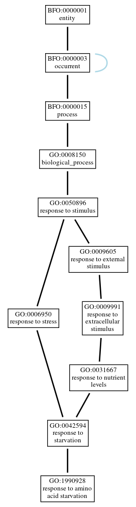 Graph of GO:1990928