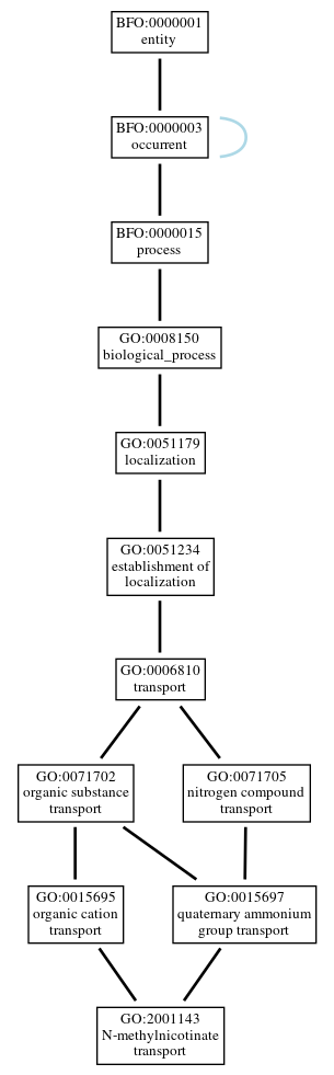 Graph of GO:2001143