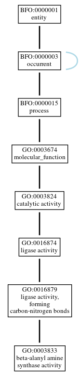 Graph of GO:0003833