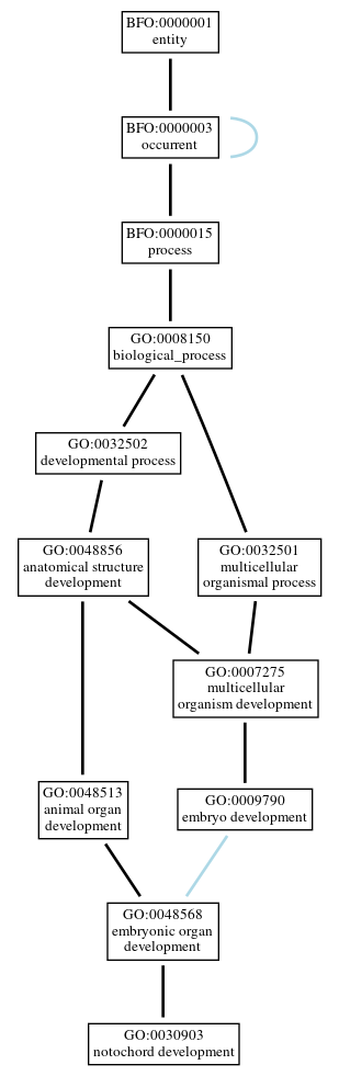 Graph of GO:0030903