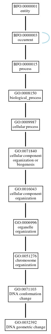 Graph of GO:0032392