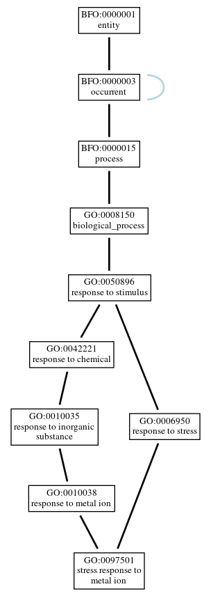 Graph of GO:0097501