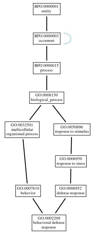 Graph of GO:0002209