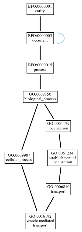 Graph of GO:0016192