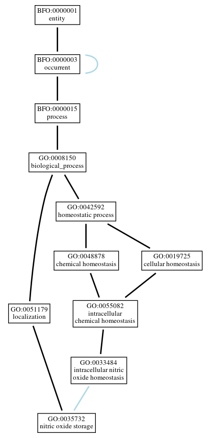 Graph of GO:0035732