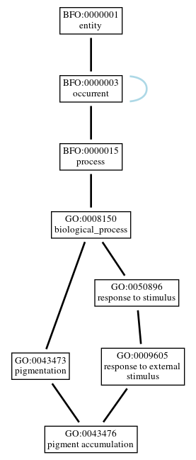 Graph of GO:0043476