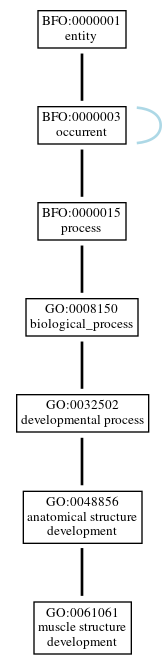 Graph of GO:0061061
